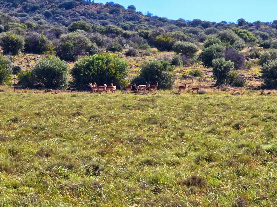 4 Bedroom Property for Sale in Bloemfontein Rural Free State